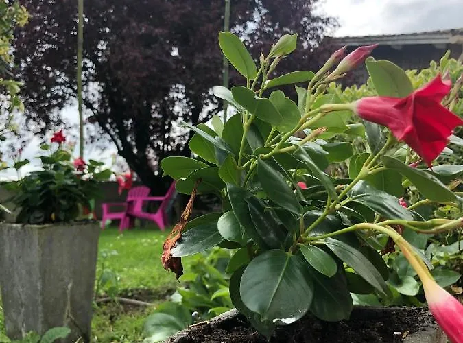 D'hotes La Jonchere 3* Les Herbiers