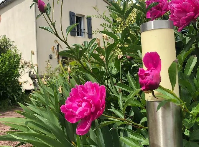 D'hotes La Jonchere Gæstehus Les Herbiers